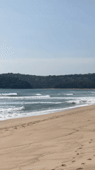 Quiet morning at a Choeng Thale beach, Phuket