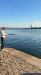 Harbor district life captured in afternoon snapshots