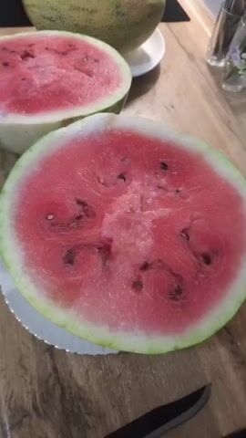 This is a close-up, top-down video of a kitchen counter where two halves of a watermelon are placed on white plates. The watermelons are bright red inside with visible black seeds. In the background, there is a whole melon, possibly a cantaloupe, also on a white plate. The counter appears to be made of wood. A black kitchen appliance is visible behind the melons. The lighting suggests the video was taken indoors.