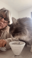 French woman enjoys quiet afternoon snacking with pets at home