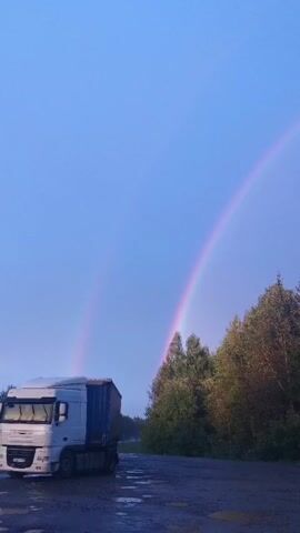 The video shows a double rainbow in a light blue sky. In the foreground, a white truck with a blue container is parked on a wet, dark asphalt surface with puddles. To the right of the truck, there is a line of trees, some of which appear to be deciduous and are showing autumn colors. The camera pans slightly to the right, following the curve of the rainbow across the sky, with the trees continuing to appear on the right side of the frame. The overall lighting suggests it is either early morning or late evening.
