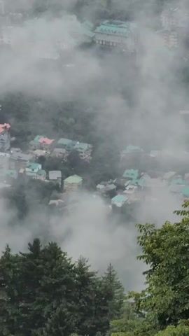 The video shows a misty mountainous landscape with a small village nestled among the hills. Buildings with green and red roofs are visible through the fog, surrounded by lush green trees. The mist is thick and obscures parts of the village, giving the scene a serene and somewhat mysterious atmosphere. There are no people or animals visible in the video. The overall impression is one of a quiet, secluded mountain community shrouded in fog.