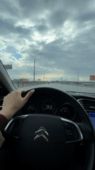 Family car journey documented in Moscow