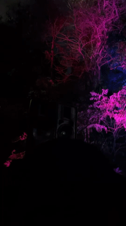 Nighttime outdoor event draws crowds in Buenos Aires