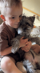 Boy plays with dog in Chaikovsky home moments