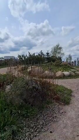 The camera slowly pans across a landscape featuring a winding gravel path. Along the path's edges are sporadically arranged large grey rocks, various types of shrubs, and grass. Yellow dandelions are scattered throughout the greenery. In the background, there are houses, power lines, and a playground. The sky is partly cloudy with a mix of blue and white. No people are visible in the frame.