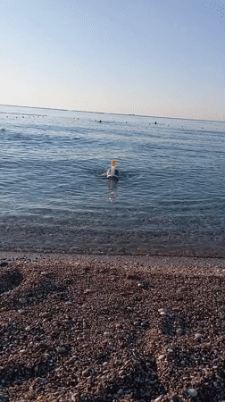 Sunny morning at Konyaaltı Beach — swimming, strolling, and snorkeling