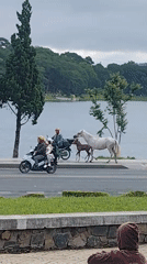 Evening recreation unfolds around Da Lat's Xuan Huong Lake