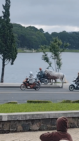 Evening recreation unfolds around Da Lat's Xuan Huong Lake