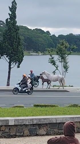 Evening recreation unfolds around Da Lat's Xuan Huong Lake
