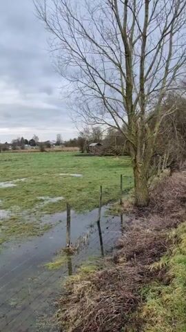 The video shows a flooded field under a cloudy sky. The field is mostly covered in water with patches of green grass visible. A wooden fence runs along the edge of the field closest to the camera. Bare trees stand on the edges of the field and their reflections are visible in the water. In the distance, there are houses and more trees.