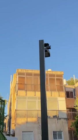 The video shows a low-angle view of a tall, gray lamppost against a clear blue sky. Perched on top of the lamppost is a large, black bird, likely a raven or crow, flapping its wings and squawking. In the background, there is a three-story, yellow building with balconies. The video is static and focuses primarily on the bird and the lamppost.