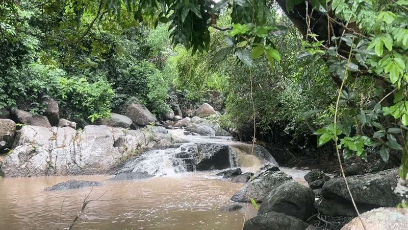 Rocky waterfall and stream documented in Baan Thong Nang