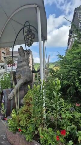The video shows a statue of a wolf with its head tilted back, looking up at a bunch of grapes suspended from an archway. The wolf is standing on what appears to be a wooden barrel. The statue is surrounded by lush green plants and flowers. In the background, there are buildings and more greenery under a cloudy sky. The camera slowly pans downwards, revealing more of the wolf statue and the surrounding garden.