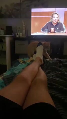 The video opens with a shot of a television screen displaying a woman with blonde hair sitting at a table, wearing a black Adidas tracksuit. To the left of the screen, a person's legs, clad in black shorts and white socks, are crossed. An orange cat walks across the bed in front of the television. The camera then pans to the right, showing the cat continuing to walk, with a lamp and shelves filled with potted plants in the background. The lighting is dim, with the television and lamp providing the main sources of light.