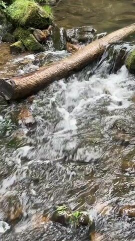 A close-up shot of a small stream flowing over rocks and a fallen log. The water is clear and appears to be moving quickly. Moss-covered rocks and green foliage are visible on the banks of the stream. The overall scene is peaceful and natural.