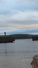 Person with bicycle observed at Chaikovsky waterfront with duck