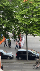 Pedestrian procession observed on tree-lined street in Gijón