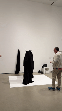 Gallery visitors photograph 'Bag Piece' art installation in LA