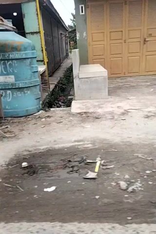 The video is a shaky, vertical shot of an outdoor scene. In the foreground, there is a concrete walkway. To the left, there is a wooden garage door and part of a house with a red roof. Further into the scene, there is a small structure with a corrugated metal roof, some laundry hanging, and trees. There are also various objects scattered around, including trash and plants in pots. The environment appears to be a residential area, possibly in a rural or semi-urban setting. The lighting suggests it is daytime, but the sky is overcast.