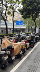 Early morning street life documented in Guangzhou shopping district