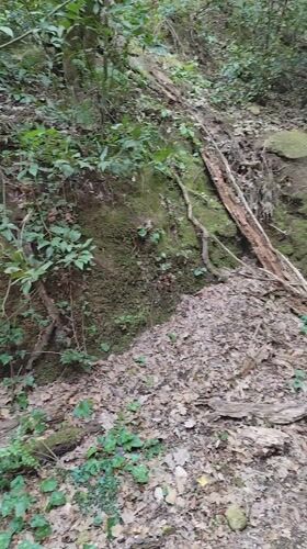 Forest path documented in historic Corchiano, Italy
