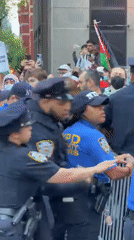 Palestinian solidarity protest draws crowds, police response in NYC