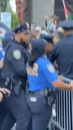 Palestinian solidarity protest draws crowds, police response in NYC