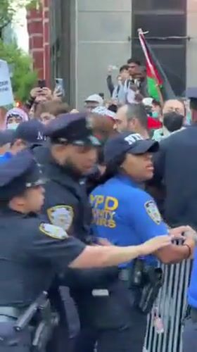 Palestinian solidarity protest draws crowds, police response in NYC