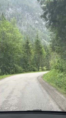 This media file captures a scenic drive through a mountainous region, likely Flachauwinkl, Austria. The scene is dominated by a winding asphalt road cutting through a lush, green forest. Towering evergreen trees line the road, creating a sense of immersion in nature. In the background, a majestic, rocky mountain looms, partially obscured by mist, suggesting a cool, possibly damp or rainy, day. The overcast sky hints at it being daytime, but the precise time is unclear. The road appears wet, reinforcing the impression of recent or ongoing precipitation.

The perspective is from inside a vehicle, indicated by the dashboard visible at the bottom of the frame. The road itself is empty, with no other vehicles or people visible, contributing to a peaceful and secluded atmosphere. There are some man-made structures along the road, such as guardrails and what appear to be small bridges or culverts, suggesting this is a frequented route, possibly for tourism or access to remote areas. The overall mood evoked is one of serene exploration and appreciation of natural beauty, with a touch of the dramatic provided by the imposing mountain landscape. There is no visible text within the media file itself.