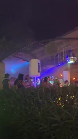 The video shows a nighttime outdoor gathering with people and vibrant colored lights. In the foreground, lush green foliage is visible, partially obscuring the view of the scene. As the camera pans and moves, glimpses of individuals are seen standing and interacting. There are various light sources including blue and purple beams, as well as green and red spotlights illuminating trees and parts of buildings. A large white speaker is visible mounted on a structure. The environment appears to be an open area, possibly a venue or outdoor space, with a building structure in the background. The overall atmosphere suggests a lively event with music and social activity.