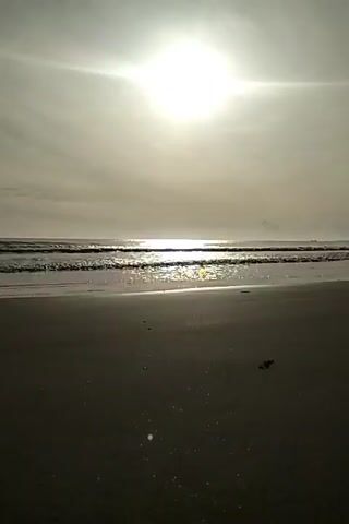 A video shows a sun-drenched beach with gentle waves lapping at the shore. The sun is high in the sky, casting a bright glare on the water, and creating a hazy, ethereal atmosphere. The sand appears dark and wet near the water's edge, suggesting the tide is coming in. The overall scene is serene and peaceful, evoking a sense of calm and natural beauty. There are no people or identifiable objects visible in the frame, emphasizing the raw, untouched nature of the environment.