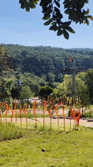 Visitor documents glass sculpture garden and cable cars in Da Lat