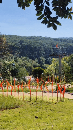 Visitor documents glass sculpture garden and cable cars in Da Lat