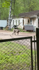 Ordinary street scenes recorded across Kazan neighborhoods