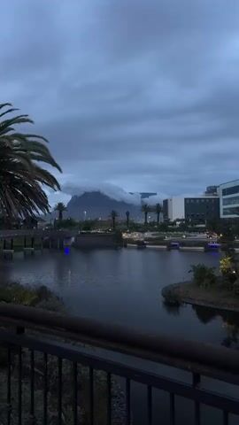 The video shows a view of Table Mountain in Cape Town, South Africa, obscured by clouds. The scene is captured during the evening or early morning, indicated by the muted lighting and dark sky. A body of water, likely a lake or canal, is in the foreground, reflecting the ambient light. Palm trees and modern buildings are interspersed along the waterfront, with small lights lining the banks of the water. A dark metal railing is visible in the immediate foreground, suggesting the viewer is on a balcony or raised platform.