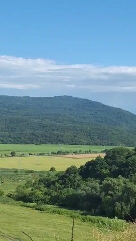 This is a vertical video clip showcasing a panoramic view of a lush green mountainous landscape under a bright blue sky with scattered white clouds. The scene transitions from foreground to background, revealing layers of natural beauty.

In the immediate foreground, tall, dry grasses sway gently, indicating a field or hillside. As the camera pans, it moves to reveal a dense forest covering rolling hills. Beyond the forest, agricultural fields, appearing as patches of lighter green, are visible, interspersed with trees and what appear to be power lines. Further in the distance, the landscape rises into larger, heavily forested mountains, their slopes covered in deep green vegetation. The furthest mountains are hazy and appear to be a lighter shade of blue, suggesting a significant distance.

The time of day is clearly daytime, likely late morning or early afternoon, given the bright sunlight casting a shadow from the grasses in the foreground and illuminating the scene. The weather appears to be clear and pleasant, with the blue sky and scattered clouds suggesting a warm, possibly summer day.

The location is identified as Alkhasty, Russia. This context implies a rural, possibly mountainous or hilly region within Russia known for its natural scenery. No people or man-made objects other than the power lines are prominently featured. The overall mood evoked is one of tranquility and the expansive beauty of nature. There is no visible text in the media file.