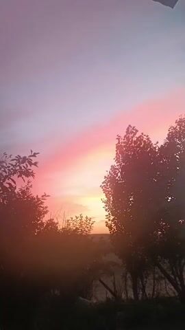 The media file depicts a sunset over a natural landscape. Silhouetted trees and foliage dominate the foreground, framing a vibrant sky transitioning from soft pinks and oranges near the horizon to a pale blue overhead. The sun, partially obscured by distant trees, casts a warm glow. The overall scene evokes a sense of tranquility and natural beauty. No people or specific objects are clearly discernible. The time of day is clearly sunset, as indicated by the colors of the sky and the lighting. The location is identified as Shamalgan, Kazakhstan, suggesting a rural or semi-rural setting with open fields and vegetation. The weather appears clear, allowing for an unobstructed view of the sunset. There is no visible text in the media file.