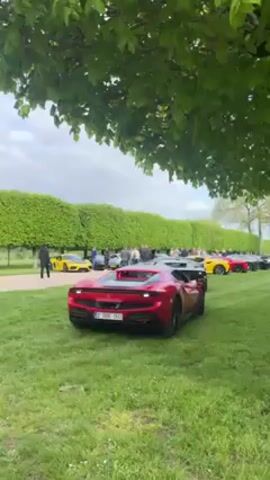 The video shows a gathering of high-end sports cars on a green lawn, likely an estate or park setting. In the foreground, a red Ferrari is parked on the grass, facing away from the camera. The car has black accents, including the wheels. In the background, a line of various sports cars in different colors, including yellow and silver, are parked along a path. A group of people are standing around the cars, seemingly admiring and socializing. A long, neatly trimmed hedge is also in the background, providing a defined border to the area. Tree branches with green leaves overhang the scene, creating a partial canopy. The sky appears overcast.