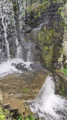 Tourists document cascading waterfalls and spring blooms in Ribeira Grande