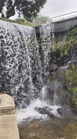 Tourists document cascading waterfalls and spring blooms in Ribeira Grande