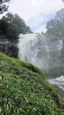 The video captures a majestic waterfall cascading down a rocky cliff face surrounded by lush green vegetation. The water plunges powerfully into a turbulent river below, creating a misty spray that blurs the edges of the scene. Tall trees frame the waterfall, their dense foliage partially obscuring the sky, which is a mix of white clouds and pale blue. The perspective is from a slightly elevated position, looking down towards the base of the waterfall, with thick green grasses and plants in the foreground. The overall impression is one of natural beauty and raw power.