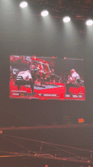 Weightlifting scoreboard and a sleeping cat in Khimki