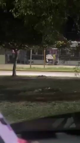 The video shows an outdoor nighttime scene, seemingly filmed from inside a car. In the background across a street, there is a building with a sign that partially reads "PARRILLA". Two people are visible on the sidewalk, one wearing a yellow shirt. There is a black animal, possibly a dog, near the building and the person in yellow. The foreground of the video shows a grassy area and a tree, and a portion of the car’s dashboard is visible at the bottom of the frame.
