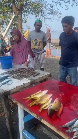 The video shows an outdoor scene of a fish market. Several people are gathered around tables laden with fresh fish. A woman wearing a maroon hijab and a patterned dress is standing behind a table displaying rows of small fish and what appear to be shrimp. She is holding a white bag and interacting with a man in a dark blue t-shirt and blue jeans, who is reaching towards the bag. Another man in a grey t-shirt and plaid shorts stands nearby, looking on. To the left, a man in a white shirt and black cap is also present. In the foreground, another table displays several larger, brightly colored fish, primarily yellow and red. In the background, more people are visible, some sitting and others standing, with trees and what appears to be a body of water in the distance. The lighting suggests it is daytime, likely morning or late afternoon. The ground is paved and there are some loose stones.