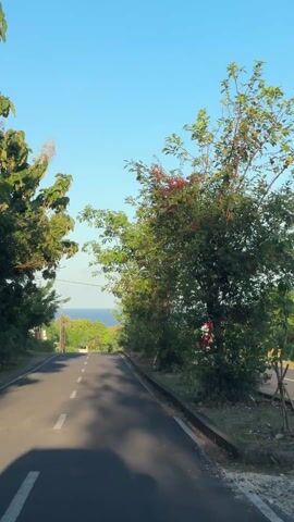 The video shows a vehicle driving down a paved road on a sunny day. The road is flanked by trees and vegetation on both sides. In the distance, the ocean is visible. Utility poles and power lines are present along the side of the road. A few houses can be seen partially obscured by the trees.
