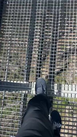 A first-person perspective video shows a person walking on a metal grate bridge over a deep canyon. The bridge has metal railings and is suspended by cables. Below, the canyon floor is visible with rocky terrain and sparse vegetation. In the distance, another suspension bridge with a viewing platform and people on it can be seen. The sky is clear and blue, and mountains are visible in the background. The person is wearing dark pants and a dark shoe. The video is shaky at times, indicating movement.