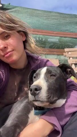 The video shows a young woman holding a black and white dog in her lap. She is wearing a purple sweatshirt and black pants. The dog has a blue collar and looks relaxed as it rests in her arms. The background includes a wooden pallet, some greenery, and dry grass. The woman pets the dog and it looks up at her. The scene appears to be outdoors on a sunny day.