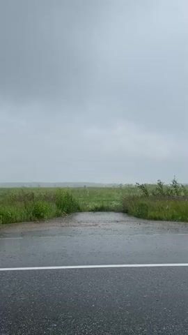 The media file shows a road in Ушаково, Russia during a rainstorm. The sky is overcast and gray, and the road is wet, with puddles forming in some areas. The surrounding landscape is a field of green grass and trees, with some wildflowers visible. The rain is falling heavily, creating ripples on the surface of the water. The scene is one of natural beauty and the power of the elements. There is no visible text in the media file. The time of day is unclear due to the overcast sky, but it appears to be daytime. The weather is clearly rainy and possibly stormy. The emotion conveyed is one of peacefulness and the raw beauty of nature.