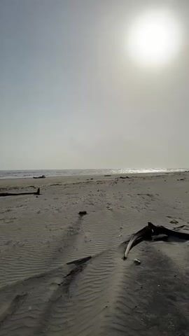 A slow pan over a sandy beach during the day. The sun is bright and high in the sky, casting a glare. The sand is marked with rippling patterns from the wind or receding tide. There are a few pieces of driftwood scattered on the beach, and some faint tire tracks are visible. In the distance, the ocean meets the horizon with gentle waves. A few clouds are present in the sky.